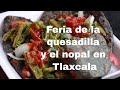 Video de Santa Ana Nopalucan