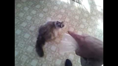 CRAZY ORGONITE DISCOVERY part 3 of 3