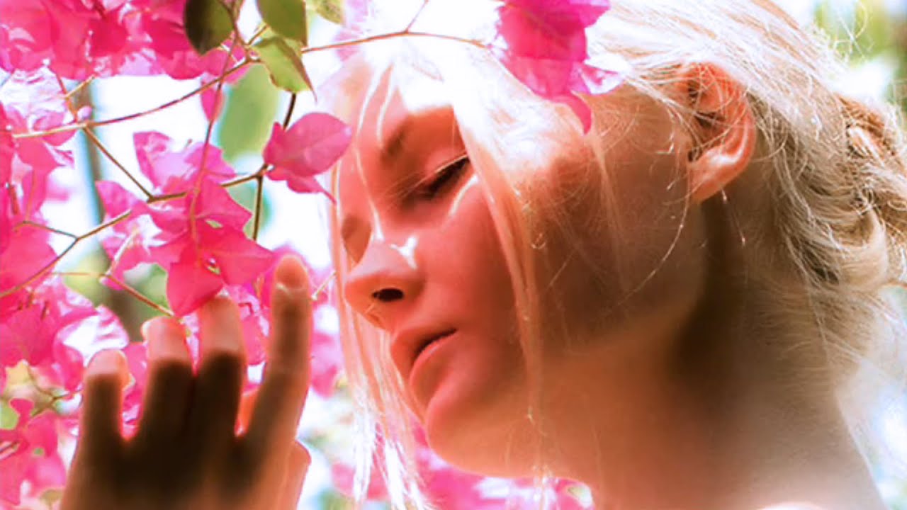 ترجمة أغنيـة ❤️ Stevie Wonder ❤️ I just called to say I love you