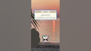 الشيخ سعد الغامدي. سورة يوسف الآية 86