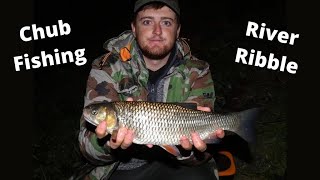 Chub Fishing the River Ribble