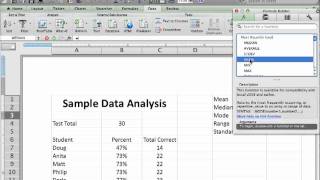 Using Excel to Analyze Student Data