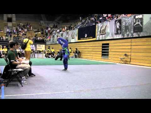 CMAT 19 Karen Chen Northern Shaolin Dragon Phoenix Sword