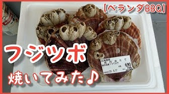 フジツボ Youtube フジツボ Youtube