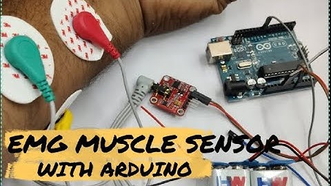 EMG Muscle Sensor Module with Arduino