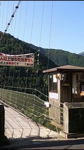 【谷瀬の吊り橋】　＃Shorts　そうだ休日は奈良へ行こう！十津川村の日本一の吊り橋「谷瀬の吊り橋」をご案内。詳しくは本編「まるごと十津川村」をご覧ください！【十津川村】