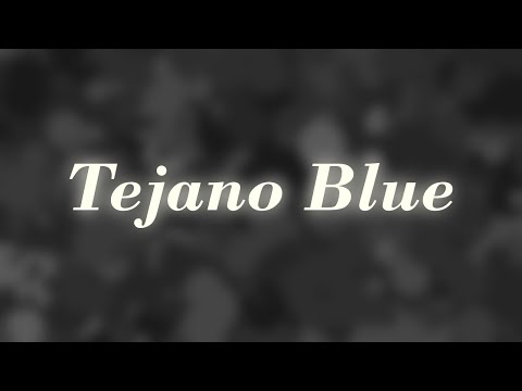 Cigarettes After Sex - "Tejano Blue" // Slowed + Lyrics