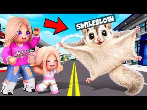 Zostałem LATAJĄCĄ WIEWIÓRKĄ na BROOKHAVEN w Roblox!