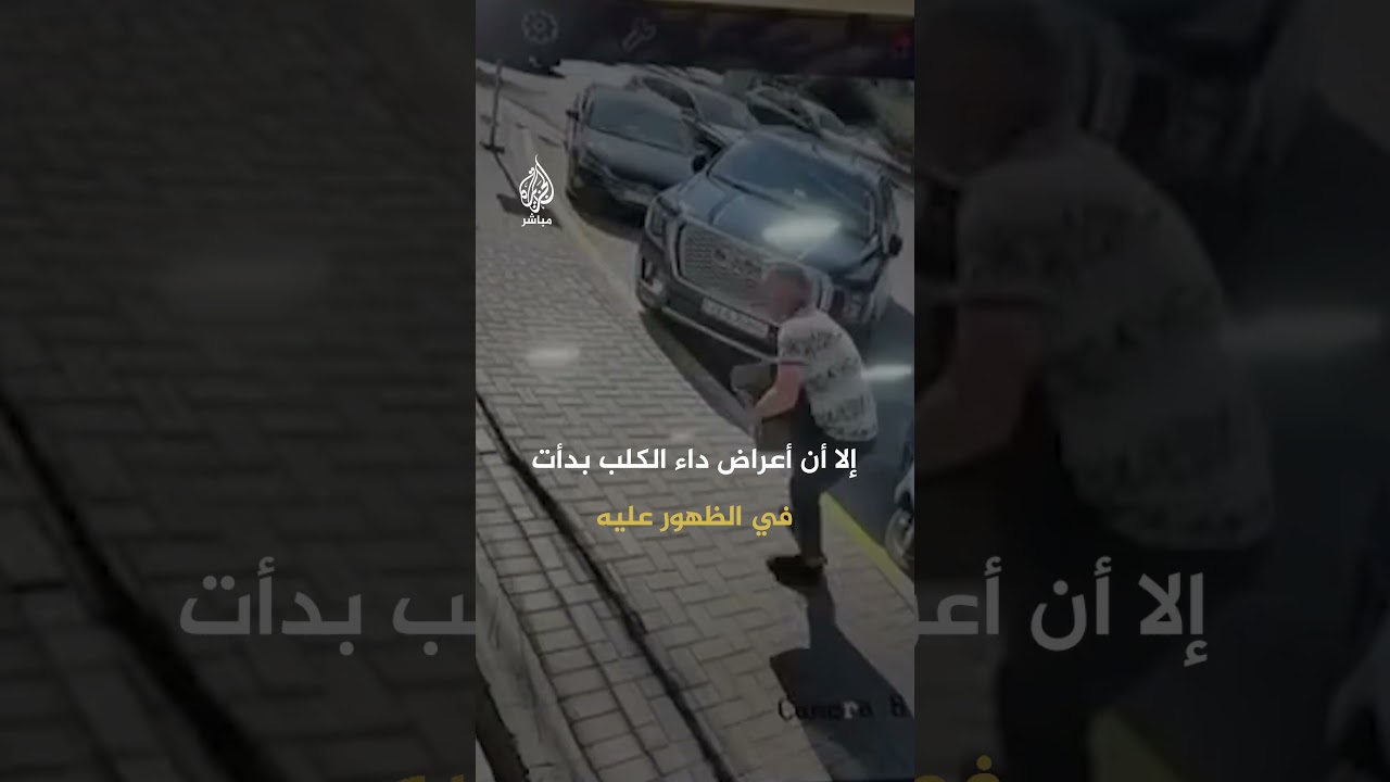 وفاة شاب عراقي بعد 40 يوما من تعرضه لعضة كلب مسعور في أحد شوارع بغداد