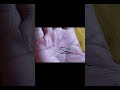 জীবনকে ধ্বংসকারী রেখা | #palmistry #hastrekha #palmreading   #astrology #reels