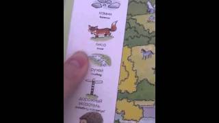 Purchased a Learning Language Picture Russian Book