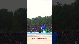 BEKMUROD OLTIBOYEV VS JASUR POLVON IKKI SURXON POLVONLARI #kurash #uzbek_polvonlari #sport #shorts