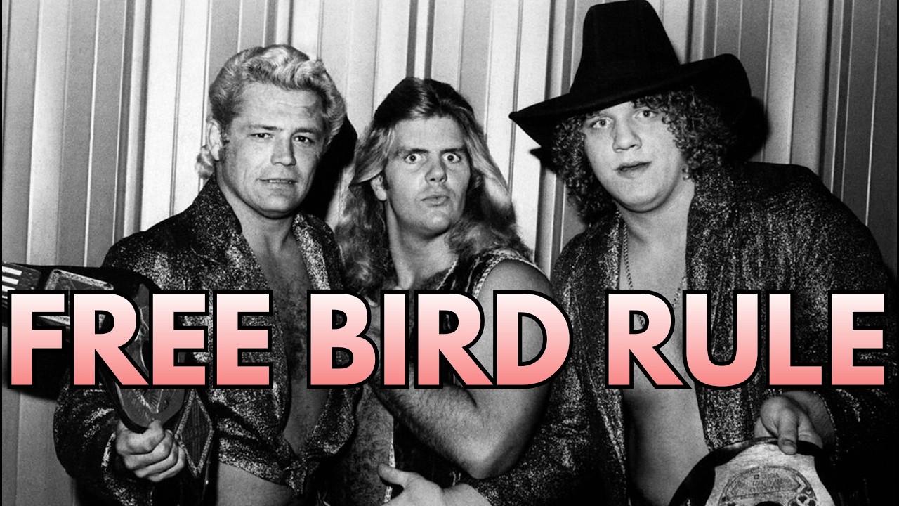 WHAT IS Wrestling? Full Compilation of Essential Wrestling Terms & Concepts | 2026 Edition