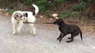 Sevgililer Gününde Aşkına Sahip Çık