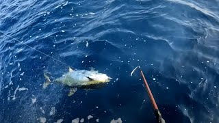 Pêche au thon Albacores - senegal