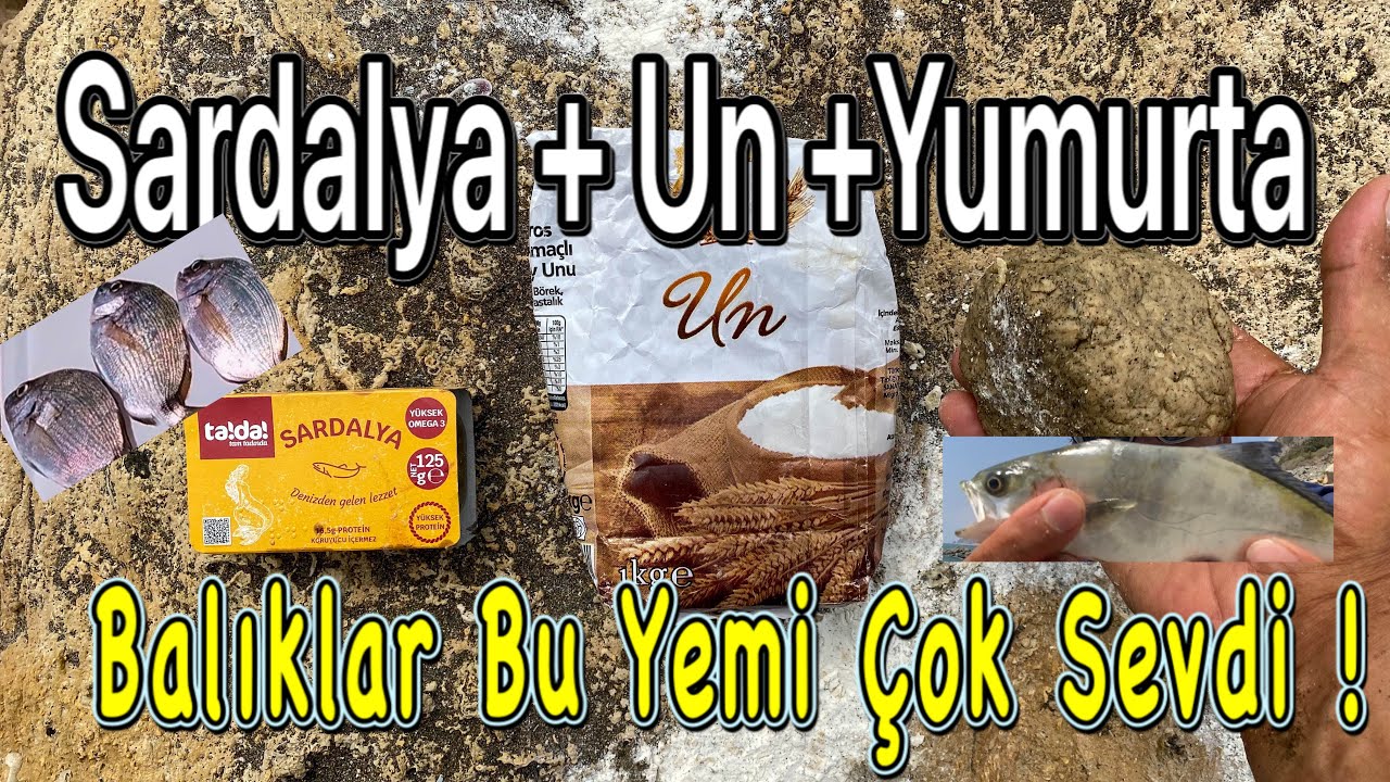 best fish bait legendary bait catch a lot of fish