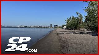 Friends of Hanlan’s Point says the city is not doing enough to combat erosion