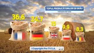 2D Animation - Top Wheat Production in UE