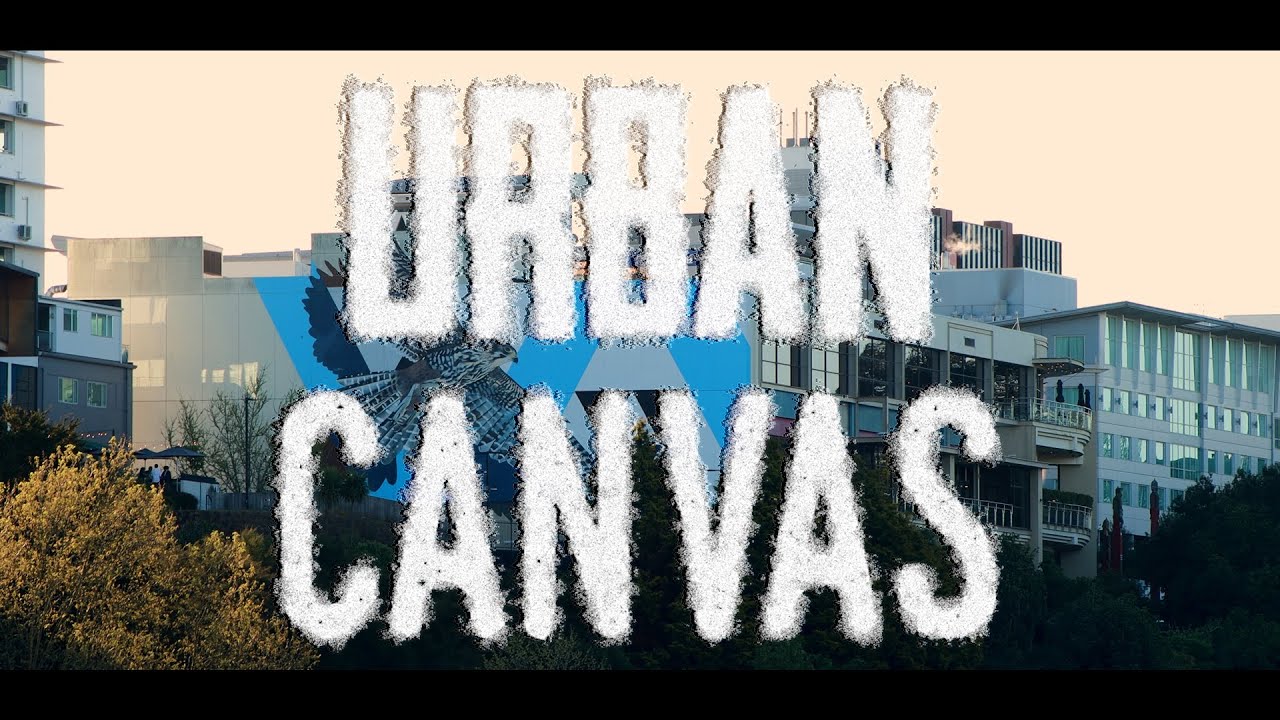 Urban Canvas - Short Documentary Film