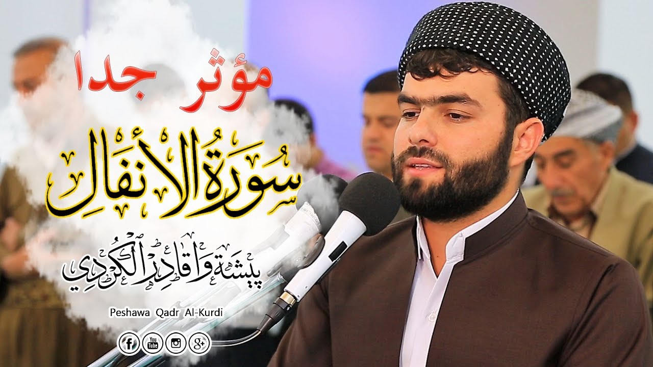 سورة الأنفال كاملة للقارئ بيشةوا قادر الكردى