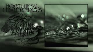Escaping Aghartha - Nocturnal Meanderings