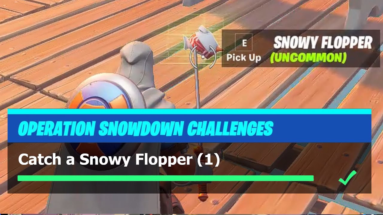 Catch a Snowy Flopper  - Fortnite