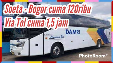 Naik Bus Damri dari Bandara Soekarno Hatta - Bogor cuma 120 Ribuan saja