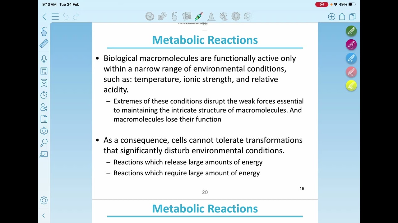 Biochemistry 1 part 1 of lec 2