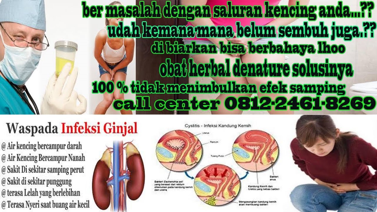 Cara Mengobati Infeksi Saluran Kemih cara mengobati infeksi saluran kemih | obat herbal indonesia - YouTube