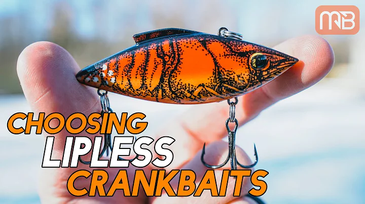 Choosing Lipless Crankbaits (Best Colors and Baits)