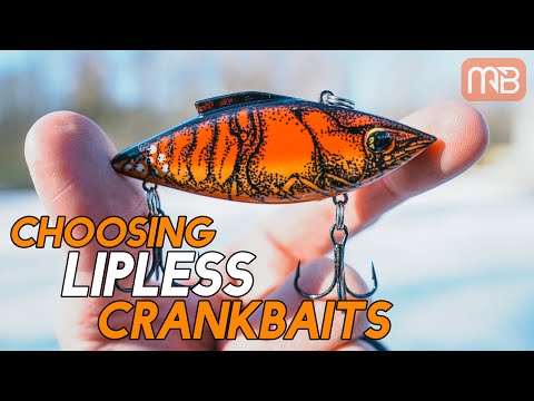 5 Must-Have Lipless Crankbait Colors - Wired2Fish