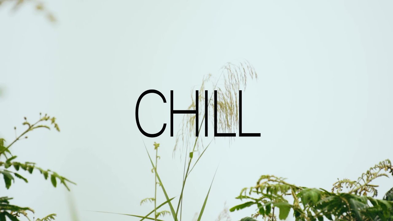 Chill Acoustic Guitar BGM | Warm & Cozy Instrumental Music