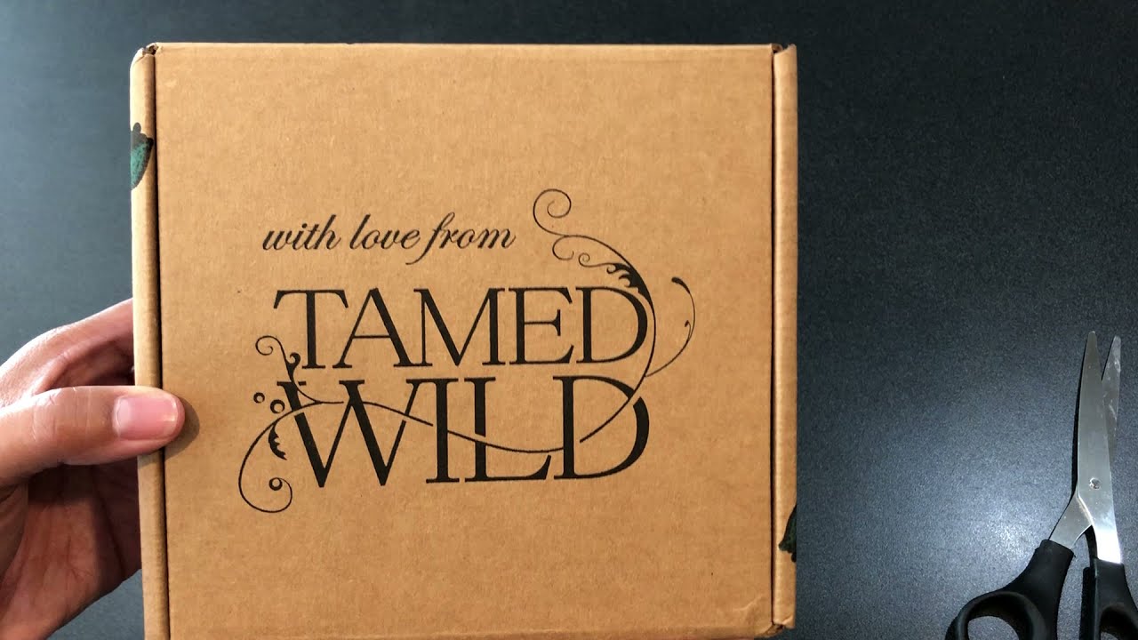 TAMED WILD SUBSCRIPTION BOX - AUGUST 2021 UNBOXING "WITCHY" TEA, SUNCATCHER, SUCCULANT , PIN & DOLL!