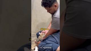 最期の瞬間に飼い主のそばに来た理由