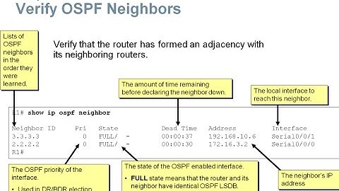 8.2 Configuring Single-area OSPFv2 (CCNA 2: Chapter 7: Single Area OSPF)