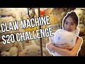 $20 Claw Machine Challenge | Arcade Ninja (Cow Play Cow Moo)