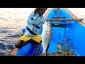 Catching Rosy Snapper Fish in Sea