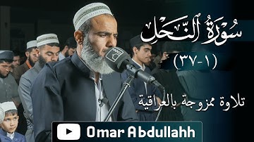 تلاوة مليئة بالعراقية - عمر عبدالله سلطان - سورة النحل