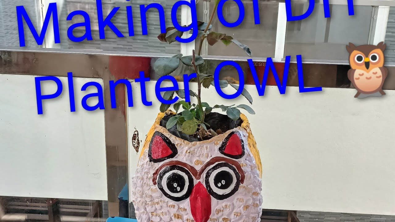 DIY OWL planter from waste material