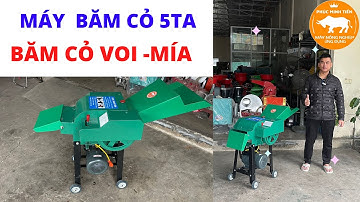 Máy Băm Cỏ 5TA – Chuyên Băm Cỏ Voi Cho Bò