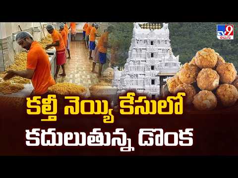 Tirumala Adulterated Ghee Case : కల్తీ నెయ్యి కేసులో కదులుతున్న డొంక - TV9 - TV9