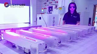 Smart Segment Control Demo: How to Cure Different Web Widths Efficiently | Height-LED