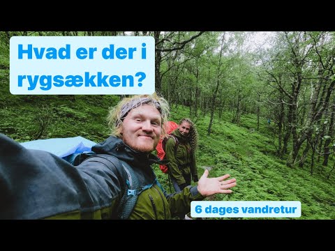 Video: Hvad er hovedtrækkene i løvskoven?