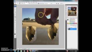 Digital Literacy Final Project