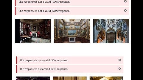 The response is not a valid JSON response