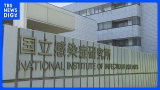 「マイコプラズマ肺炎」全国の患者数6週連続増　8年ぶりに1医療機関あたりの患者数が「1人」を超える　長引く咳が特徴｜TBS NEWS DIG