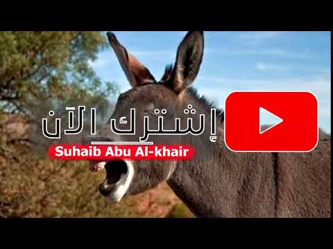 مؤثرات صوتية للمونتاج صوت حمار        