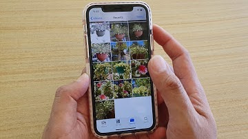 How to Revert an Edited Photo Back to the Original on iPhone 11 Pro | IOS 13
