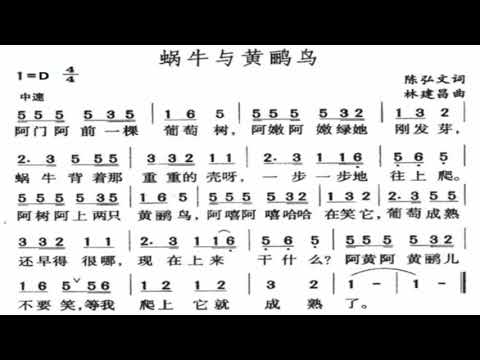蜗牛与黄鹂鸟 D调伴奏 - CUT