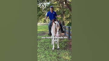 How To Get A Fluid Sidepass! Part 6! | The Horse Guru-Michael Gascon